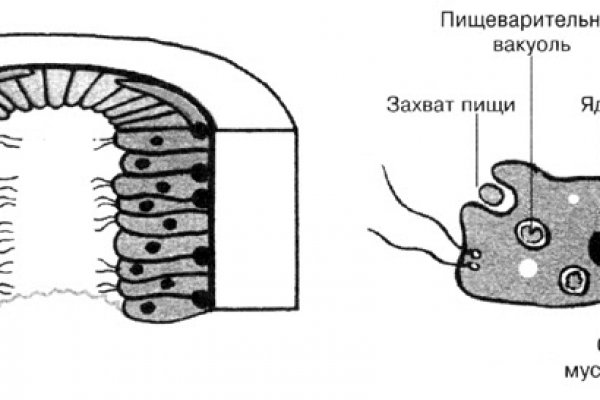 Кракен даркнет сайт