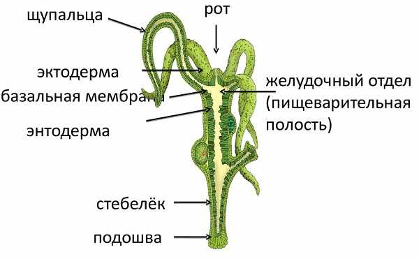 Кракен как зайти ссылка